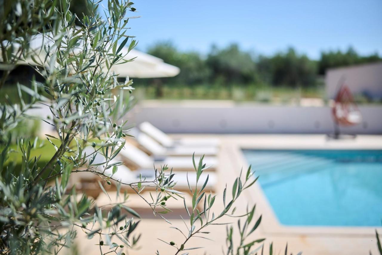 Villa Pura Vida With Pool And Whirlpool Near Umag Materada Экстерьер фото